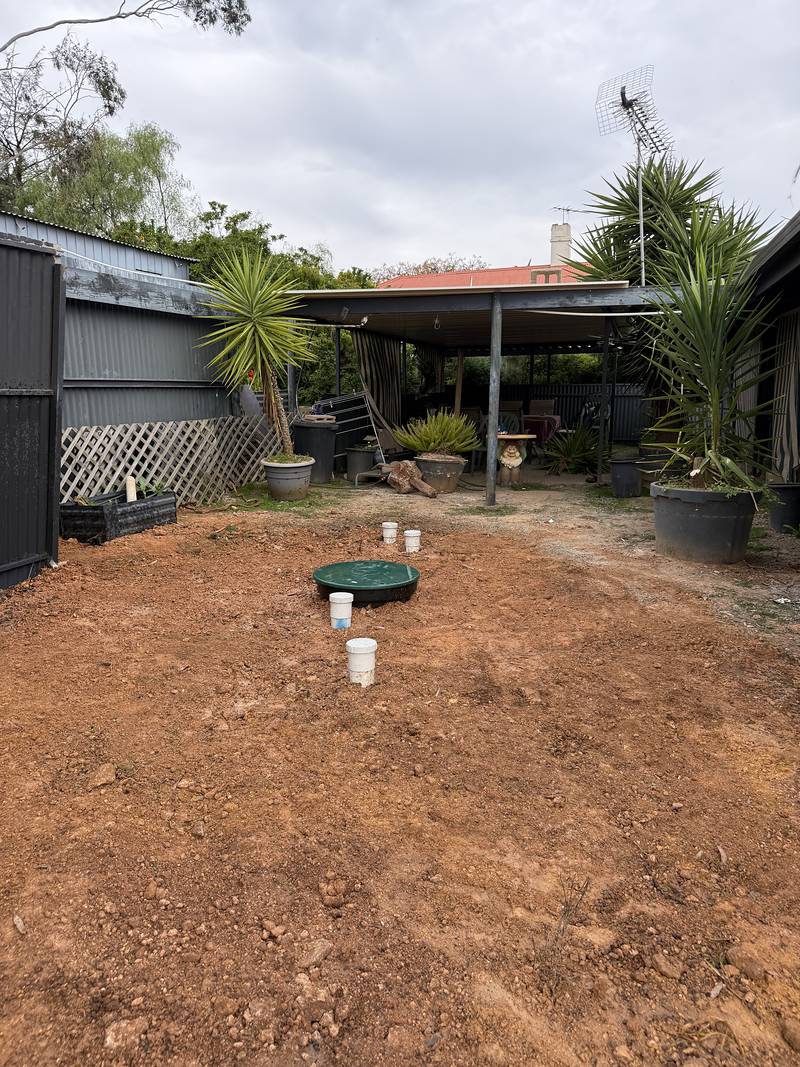 Backyard filled back in, with the green tank lid and white risers showing at ground level